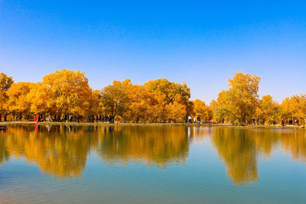 蘭州-金塔胡楊林-一道橋至八道橋胡楊林-居延海-策克口岸-沙坡頭-額濟(jì)納旗大環(huán)線雙動 7 日游